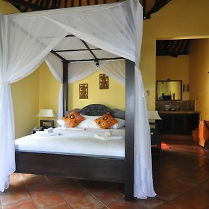 Chambre Supérieure Double